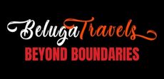 Beluga travels