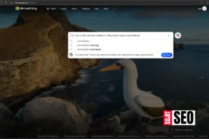 How to SEO optimize website for Bing